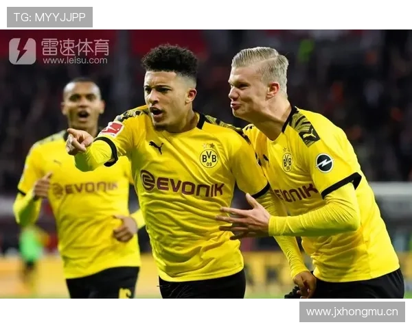 劳塔罗 vs 哈兰德:终结效率与战术角色差异 劳塔罗 vs 哈兰德:终结效率与战术角色差异