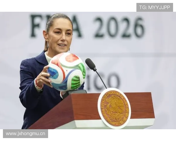2026世界杯排名流程解析